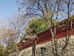 -大雁塔北广场音乐喷泉