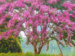 -杭州城北体育公园