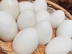 鹅蛋-鸽子窝(青塔店)
