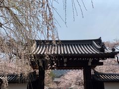 -醍醐寺