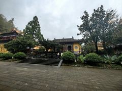 -天目山大树王景区