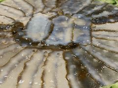 -鱼市酒店(威海水产批发市场店)