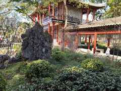 -顺峰山公园