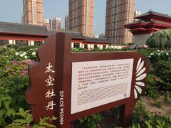 -曹州百花园