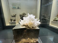 -安徽省地质博物馆