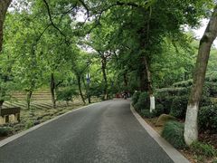 -中国茶叶博物馆(双峰馆区)
