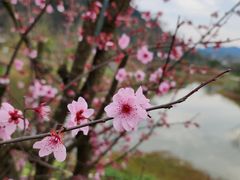 -新安江山水画廊风景区