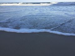 -黄金海岸