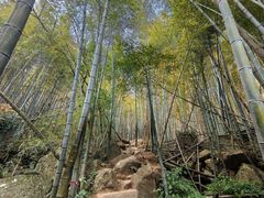 -莫干山风景区