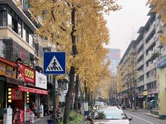 -奎星楼街