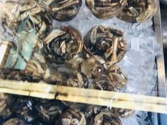 -铭聚章鱼土笋冻(松柏店)