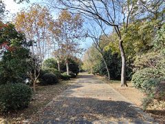 -上海市保健医疗中心