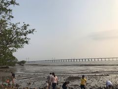 -宝安西湾红树林湿地公园