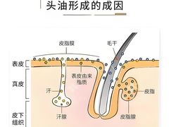 -中国农业大学(西校区)