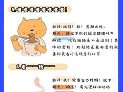 -猫十亿·布偶金渐层·曼基康矮脚猫舍(青年路店)
