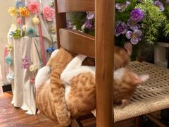 -初甜·舒芙蕾·韩式雪花冰(流塘店)