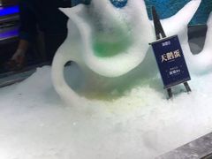 -海鼎荟海鲜姿造(晋江宝龙店)