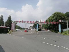 -江南天池