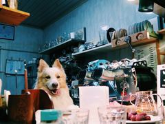 -豆舞咖啡(民乐路店)