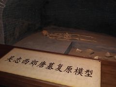 -宁夏博物馆