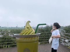 -雪绿茶博物馆