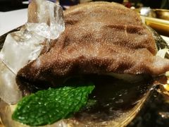 经典毛肚-丙申臺火锅