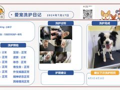 -狗不理喵子(百富路店)