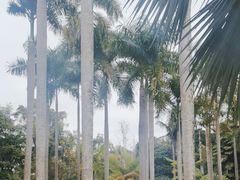 -中国科学院西双版纳热带植物园