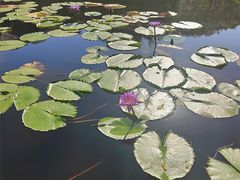 -广州从化都喜泰丽度假酒店温泉
