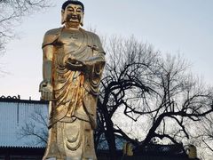 -哈尔滨极乐寺