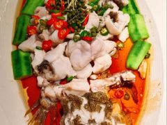鲜花椒蒸笋壳鱼-侨美食家·粤菜(体育西路店)