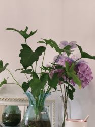 -香秀空间科技抗衰·美容中心