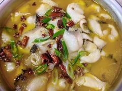 -金贝儿月嫂(高新尚品国际店)