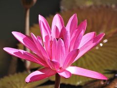 -维乐口腔医院(星海湾分院)