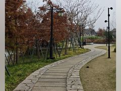 -江心屿景区