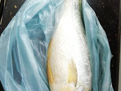 -大连熟食品交易中心