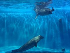 -威海华夏城景区