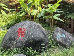 -广州市帽峰山景区