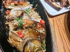 -鸽子窝专业烧烤店(长白店)