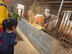 -大连北马山庄