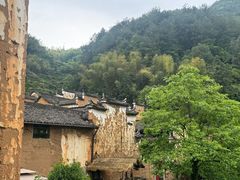 -杨家堂村