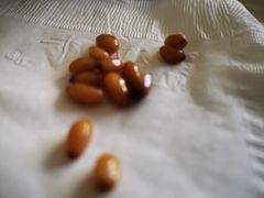 -兰亭轩茶餐厅(长江路店)