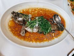 清蒸龙趸仔-怀德酒楼·粤菜·海鲜·茶点(宝安国际机场店)