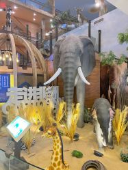 -卡通尼·Safari非洲探索乐园·生日会(金桥国际商业广场店)