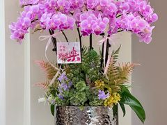 -F.Story 花和故事(新天地店)