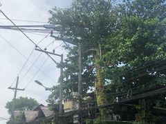 -自然餐厅(Phuket)