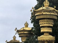 -庐山风景名胜区-东林大佛