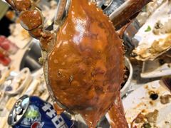 -王潮活海鲜自助·蒸汽海鲜