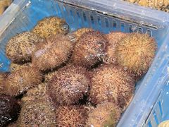 -徐记海鲜(大雁塔|金都店)