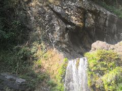 -石台牯牛降景区